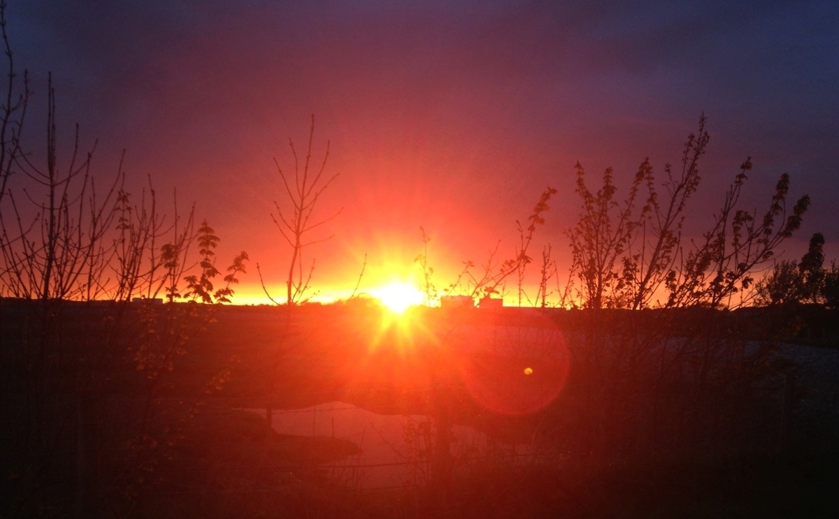Sunset at the Power Station - John Pinches